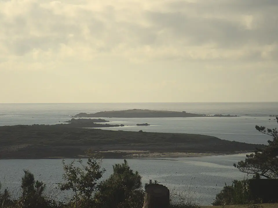 Île Guennoc