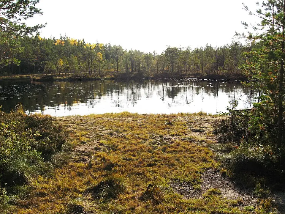 Ögeltjärn