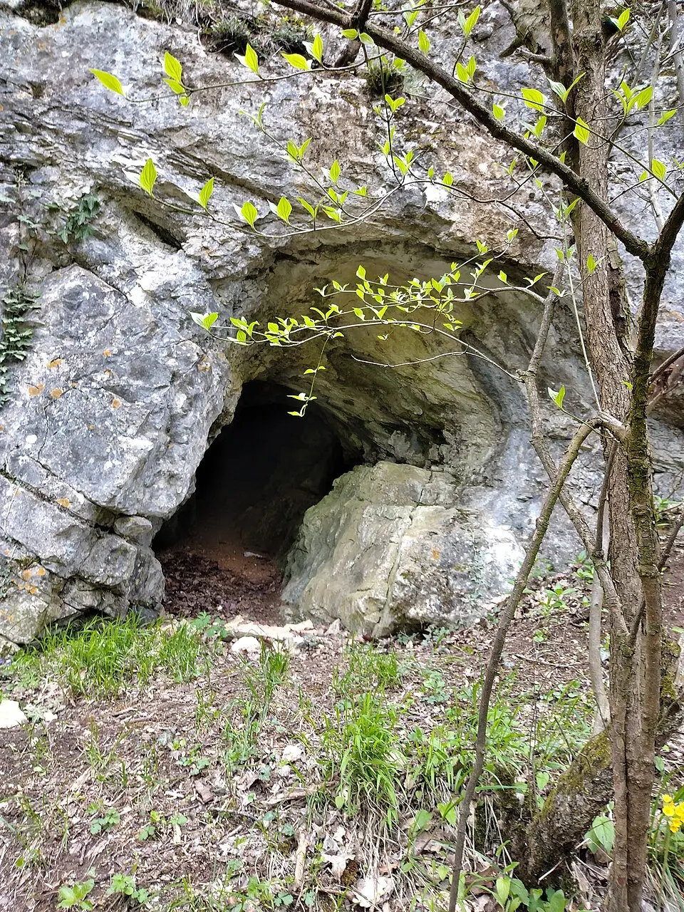 Öreg-kői 2. sz. zsomboly