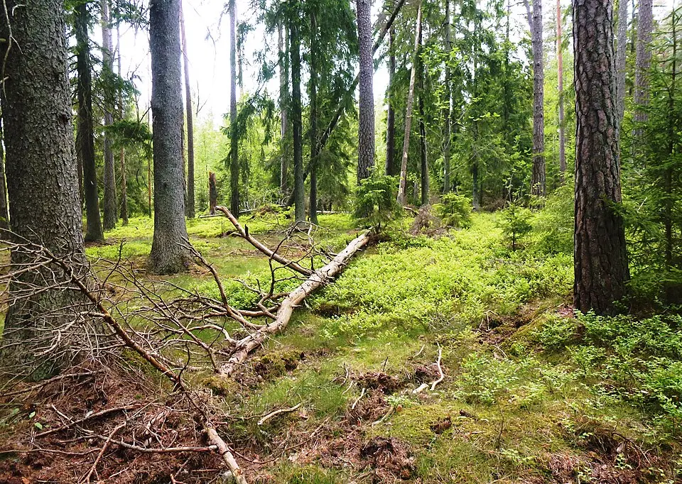 Östra Bröta