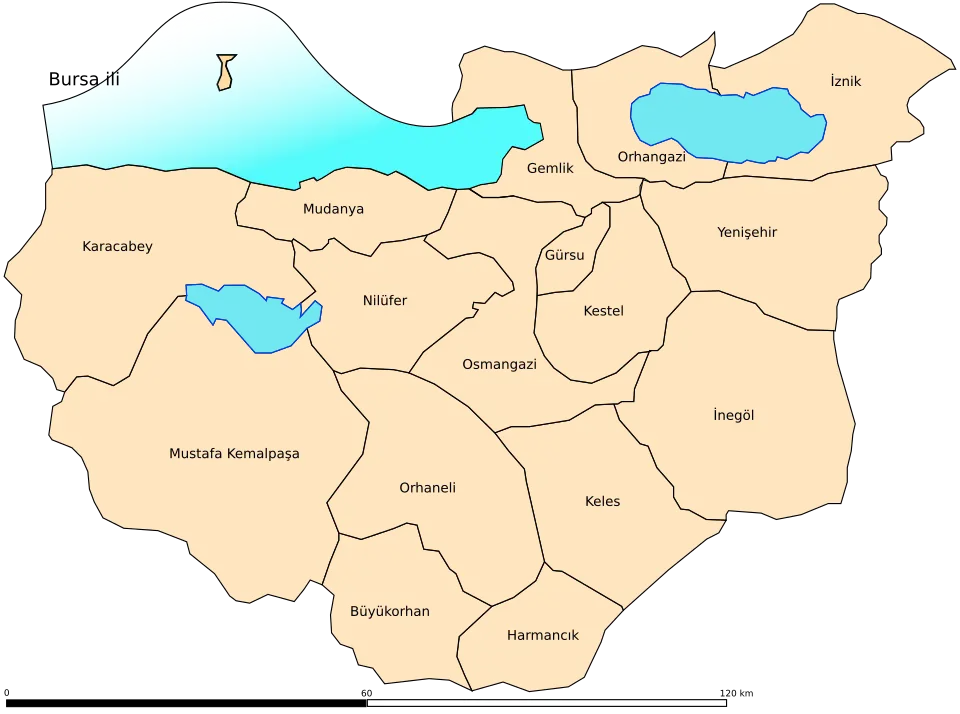Bursa