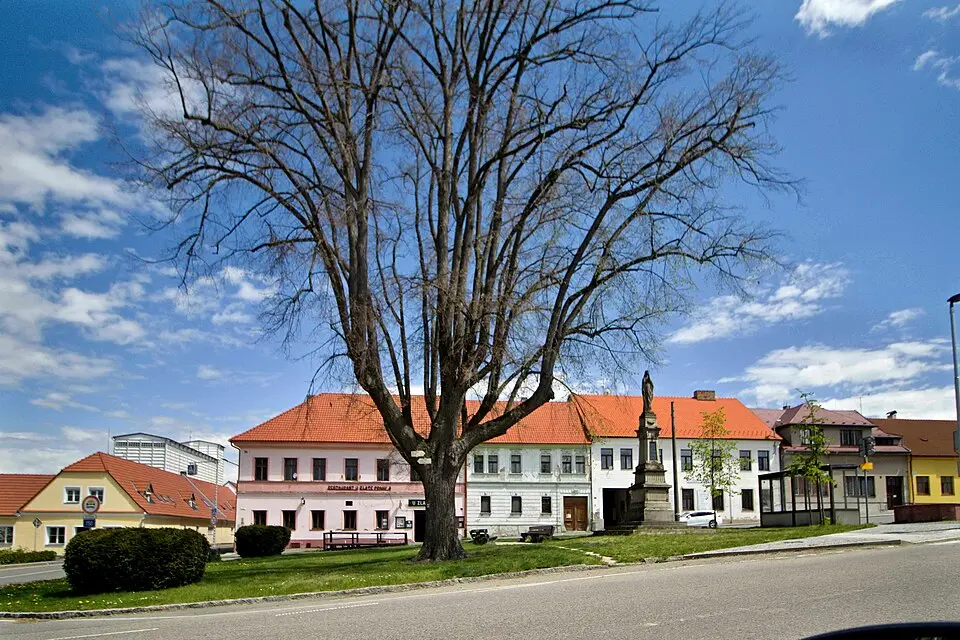 Čechtice