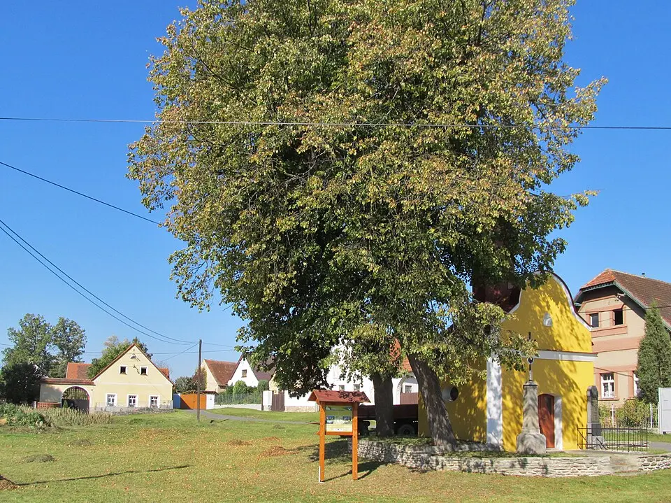 Černíč