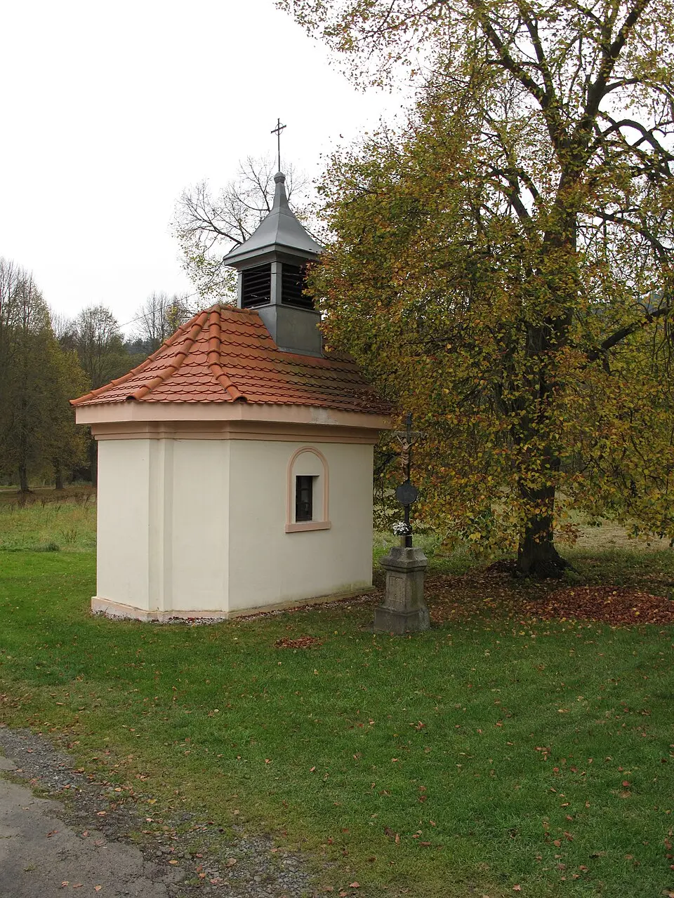 Immagine: Juandev · CC BY-SA 3.0 Čichořice