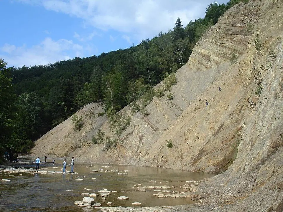 Wisłok