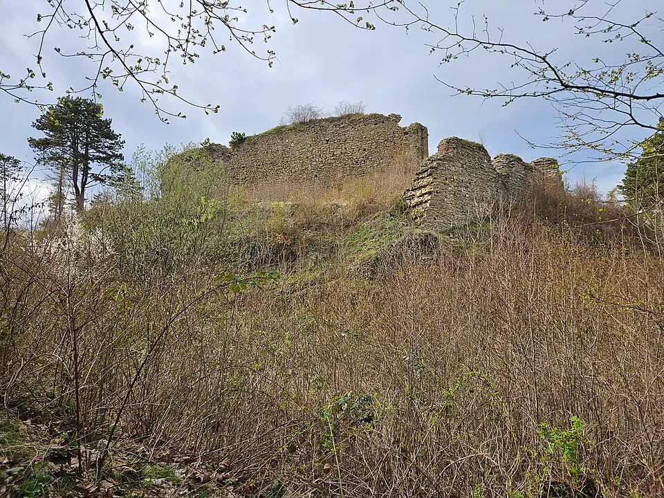 Burg Cvilín