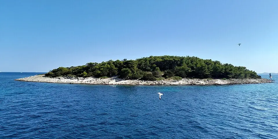 Bild: Argo Navis · CC BY-SA 4.0 Šipnata