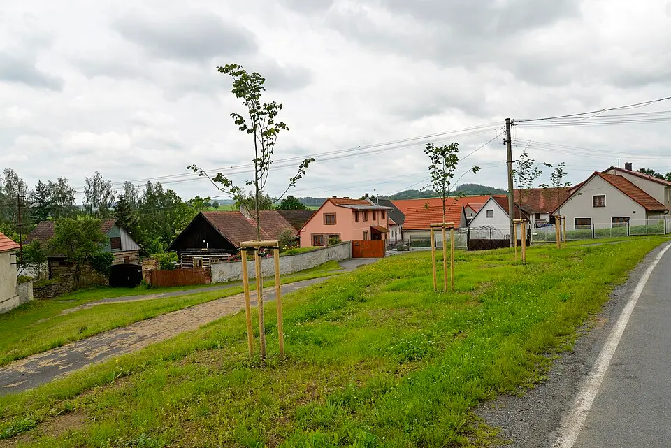 Želvice
