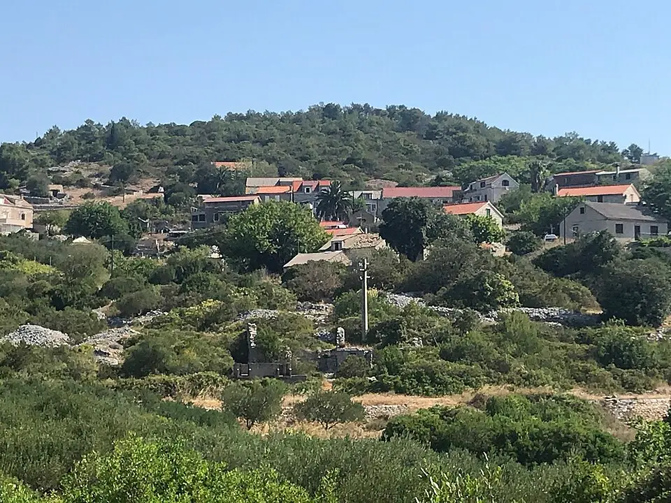 Žena Glava