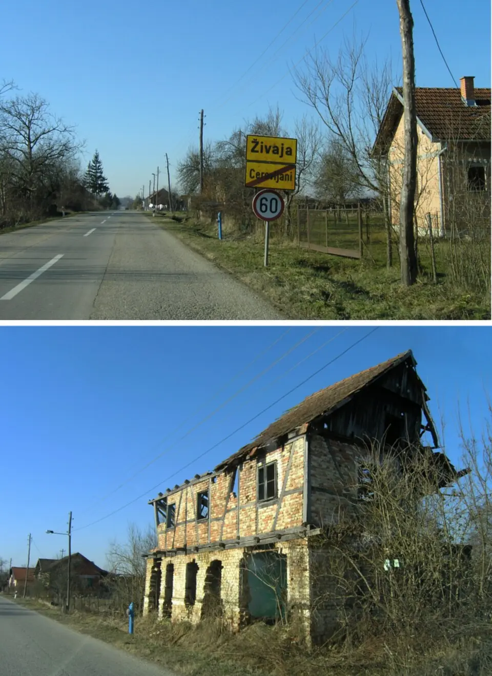 Živaja