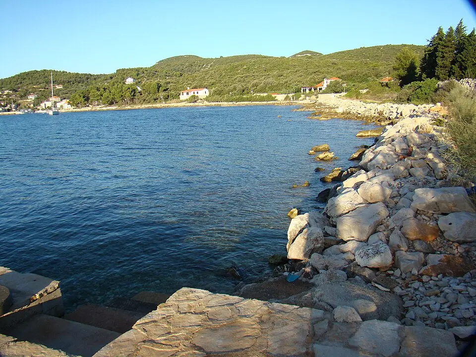 Žman