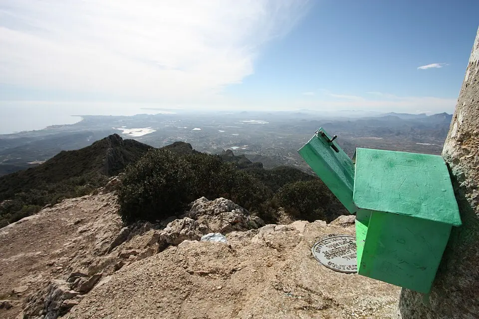 Cabezón de Oro