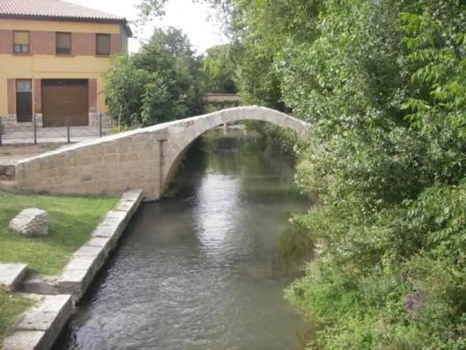 Jiloca