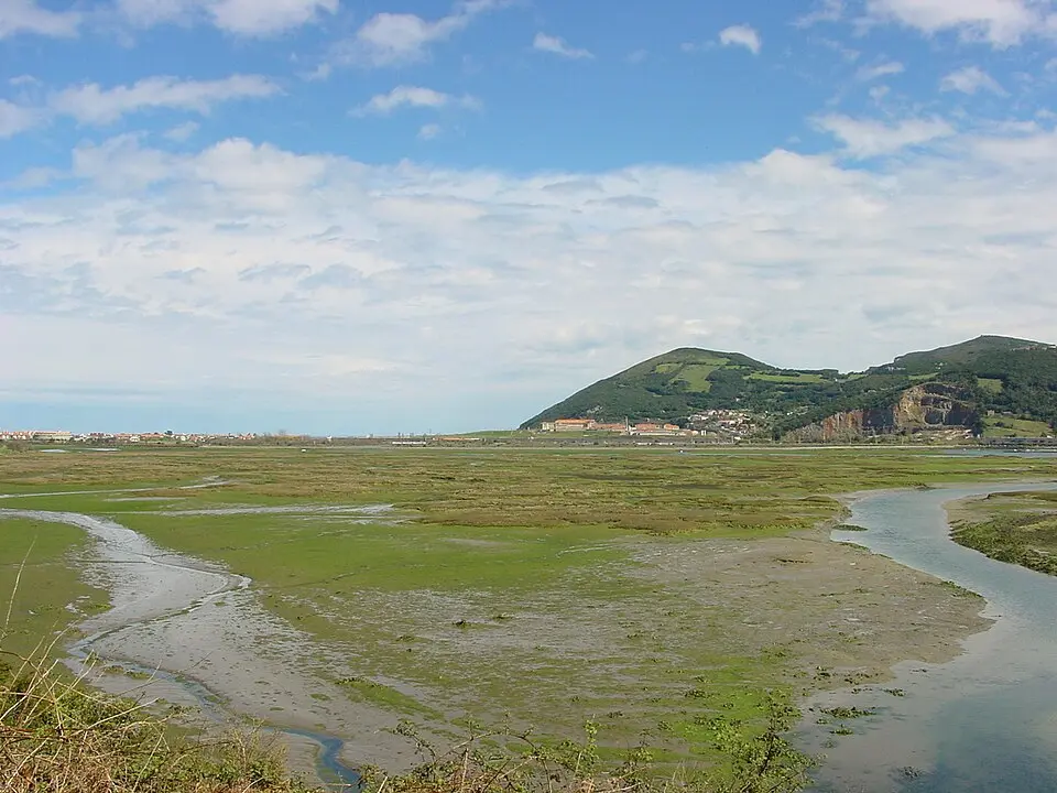 Bild: Lourdes Cardenal · CC BY-SA 3.0 Parque natural de las Marismas de Santoña, Victoria y Joyel