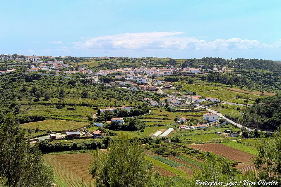 Bild: Vitor Oliveira from Torres Vedras, PORTUGAL · CC BY-SA 2.0 Carvoeira