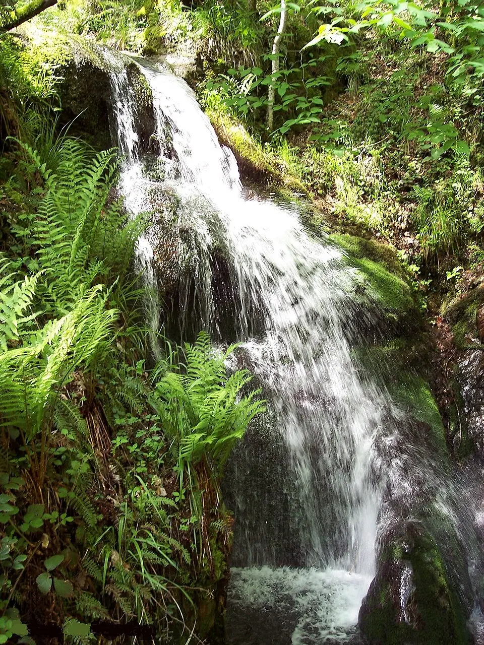 cascade de l'Erzenbach