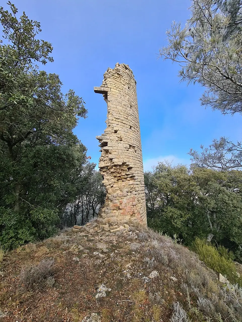 Bild: Beusson · CC BY-SA 4.0 Castillo de Montmajor
