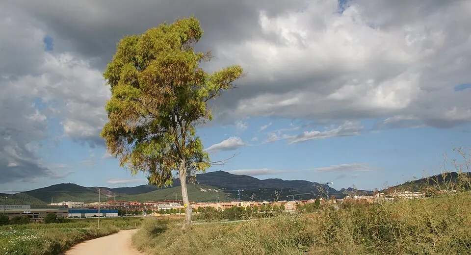 Castellar del Vallés
