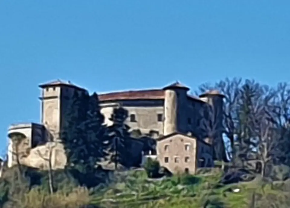 Monti