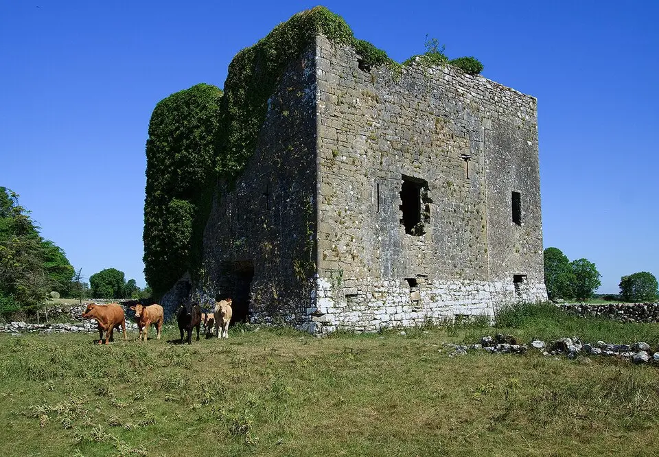 Bild: Mike Searle · CC BY-SA 2.0 Moyne Castle