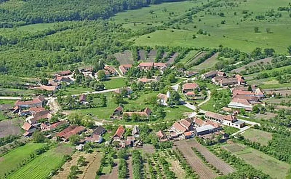 Kreis Timiș