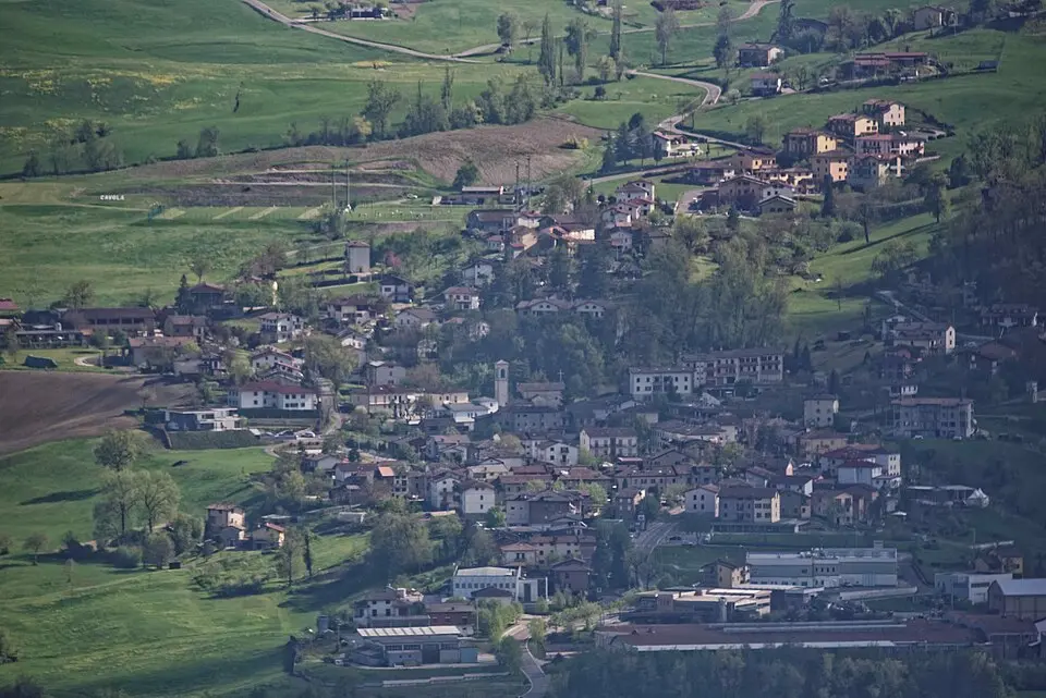 Cavola