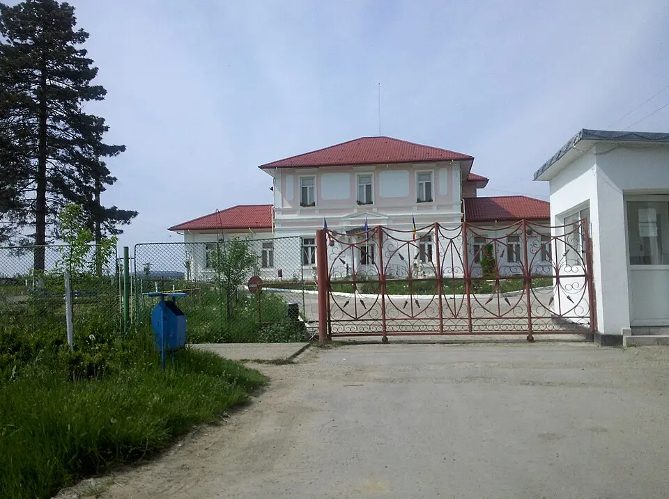 Băcești