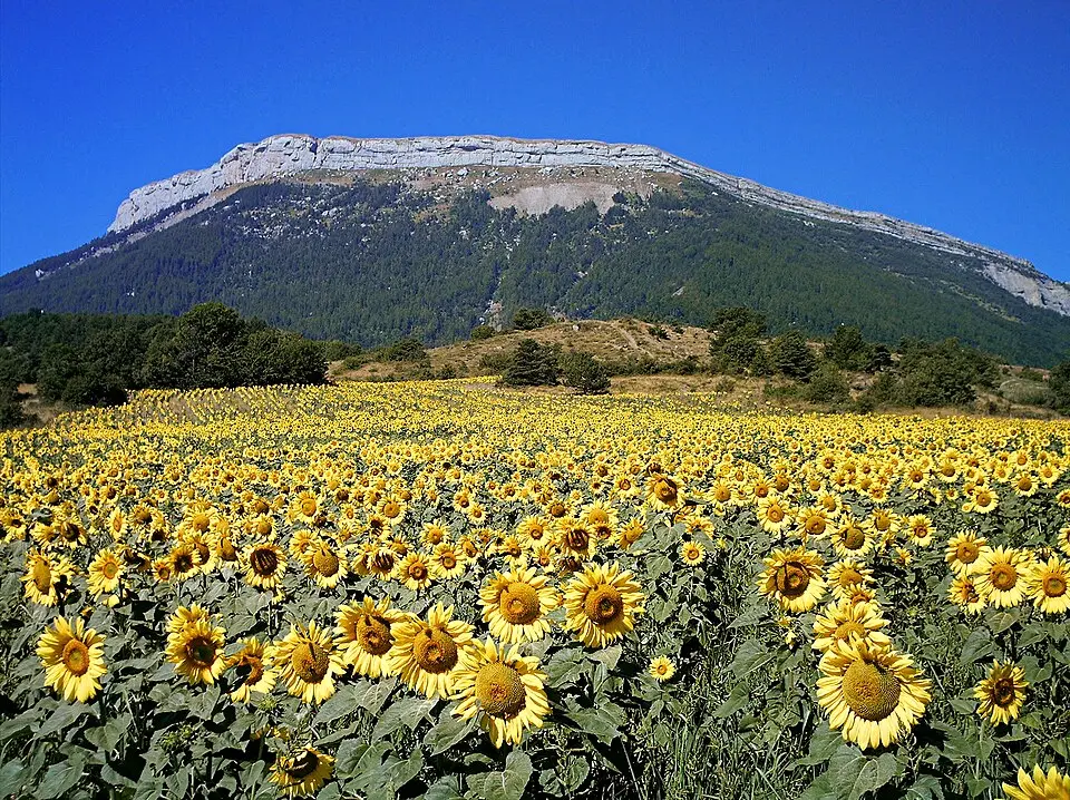 montagne de Céüse