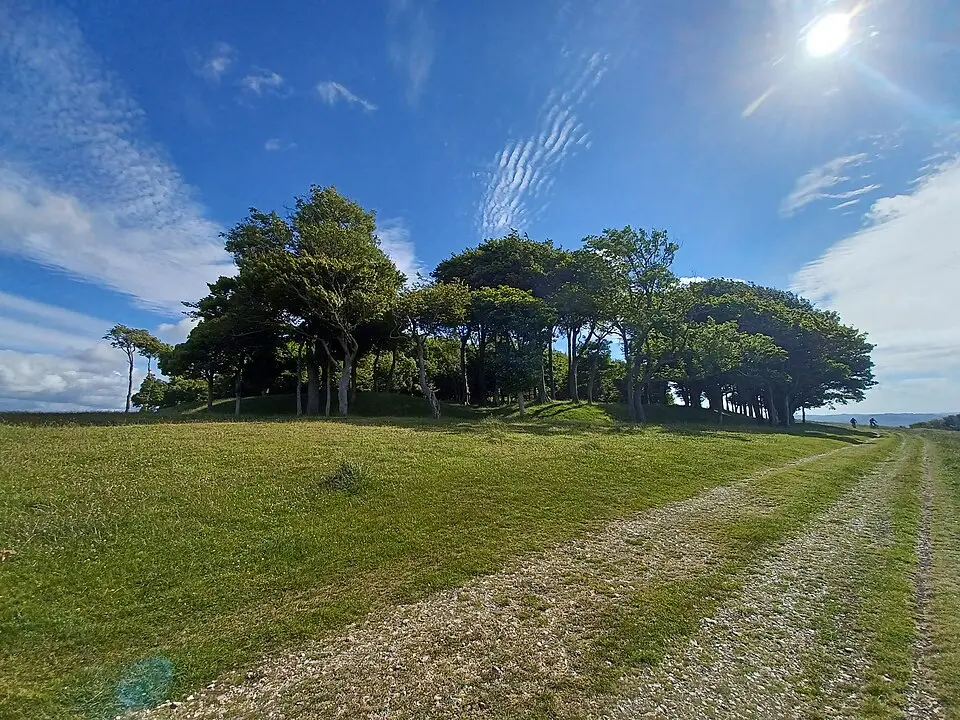 Chanctonbury Ring hillfort and Romano-Celtic temples