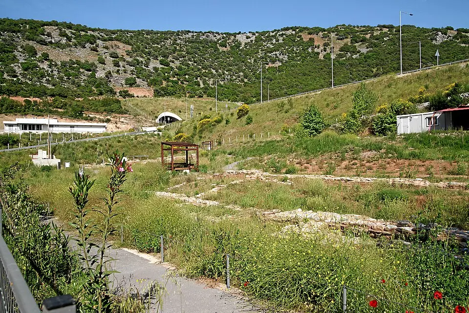 Chani Kokkonas