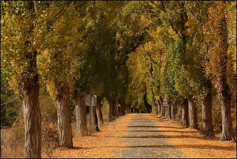 Villar del Río