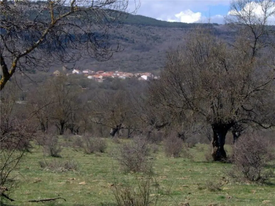Immagine: Esther Pérez Pérez · CC BY-SA 4.0 Villar del Ala