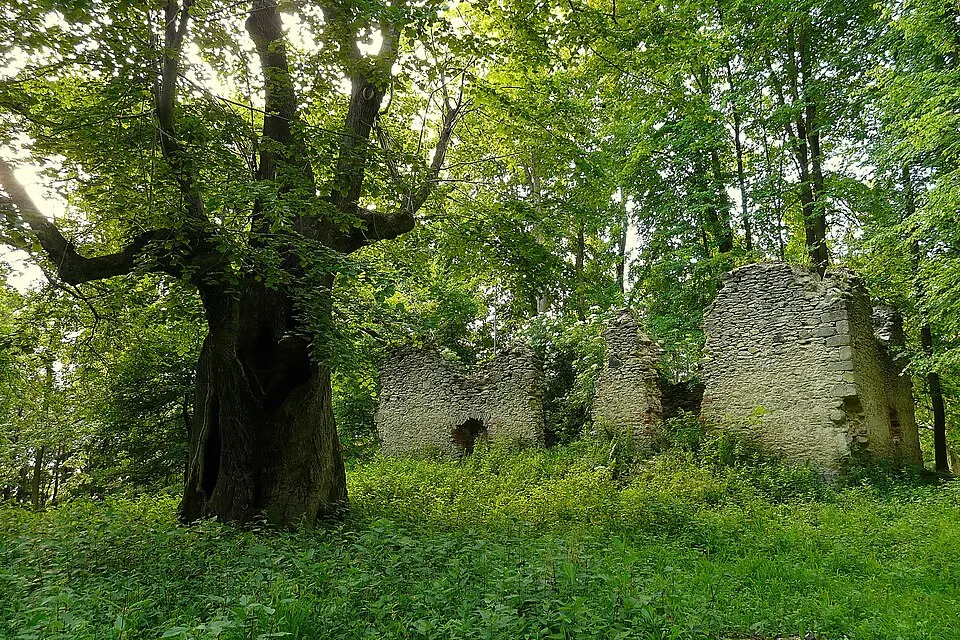 Horní Krupá