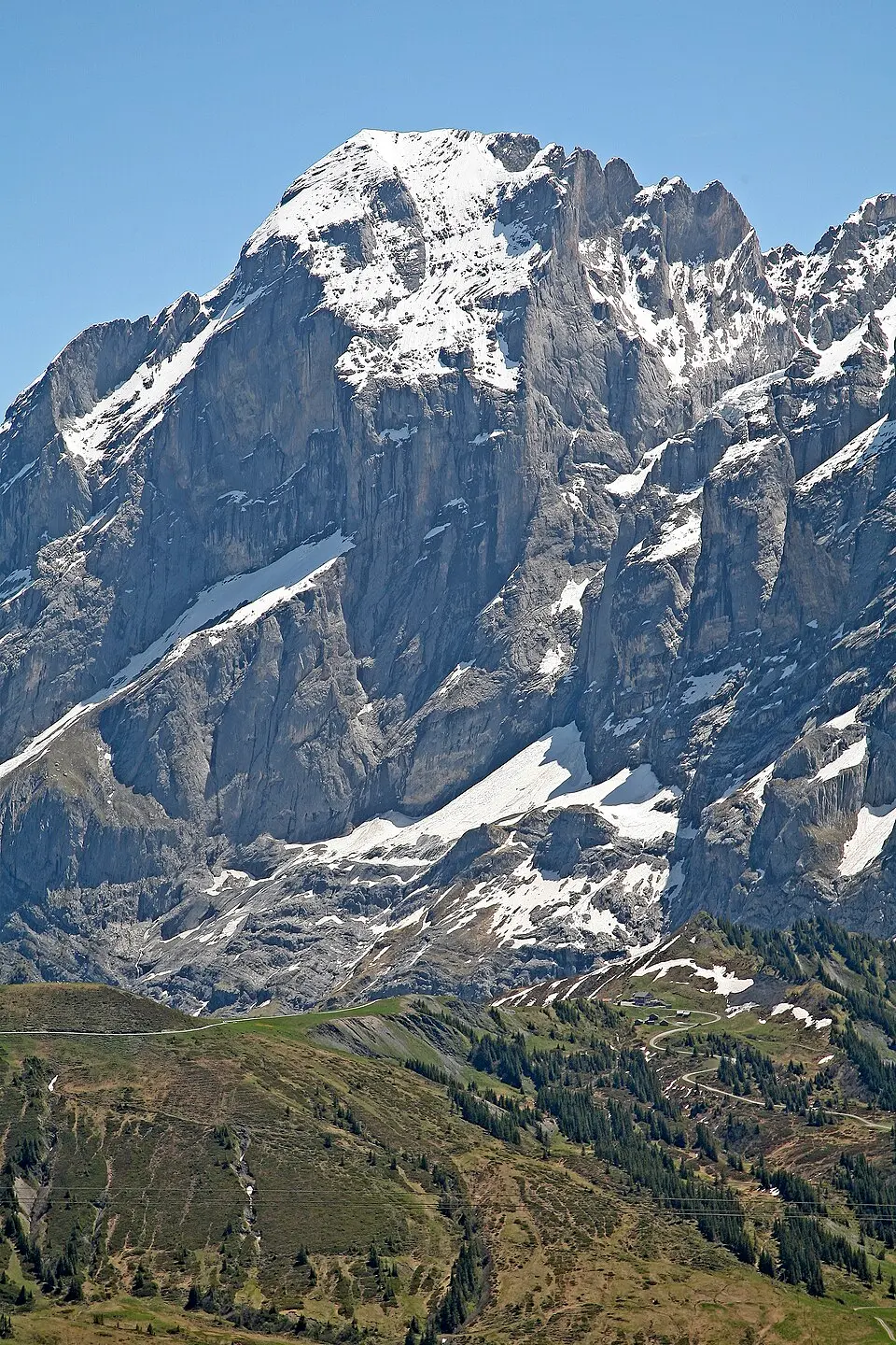 Mittelhorn