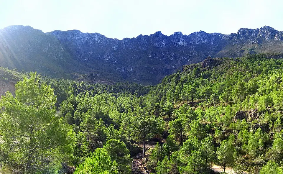 Immagine: Espencat · Public domain Safor