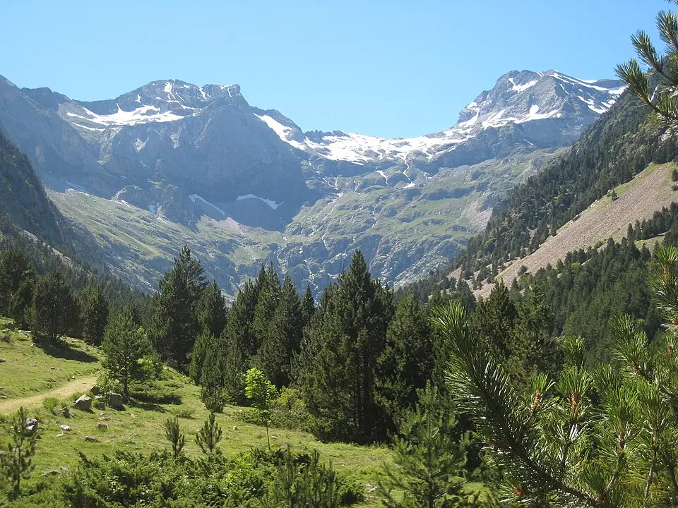 La Munia