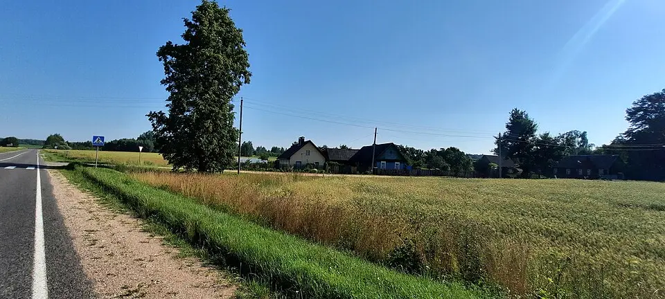 Цюхнявічы