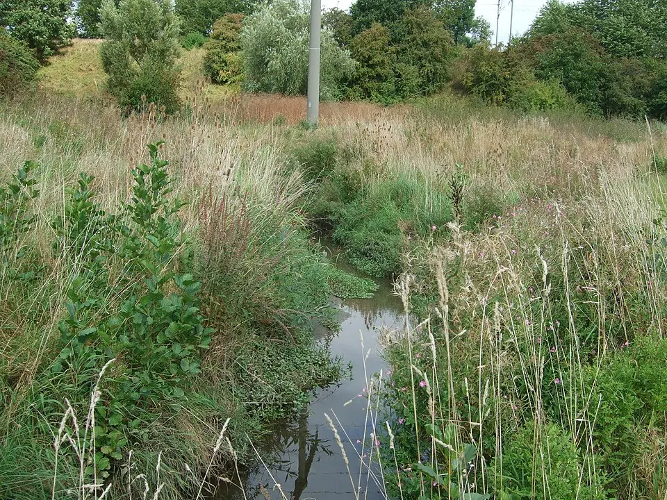 Strassbach