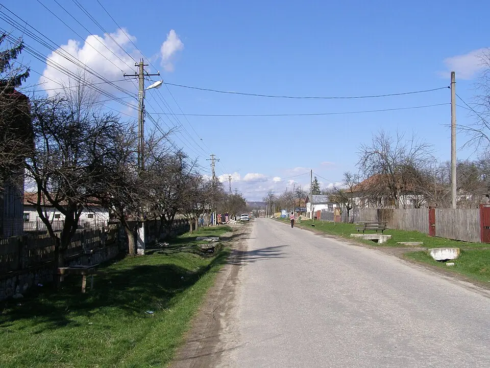 Roești