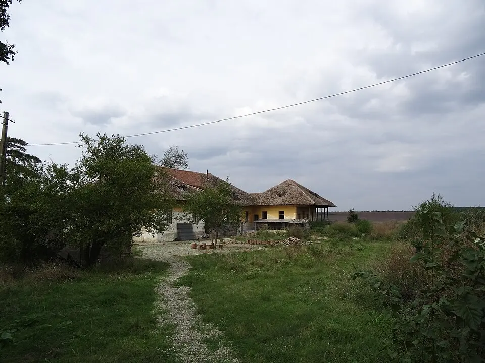 Kép: Anca-Raluca Majaru · CC BY-SA 3.0 RO Cezieni