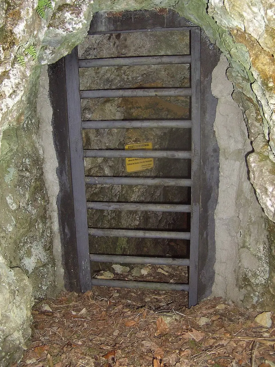 Försterhöhle