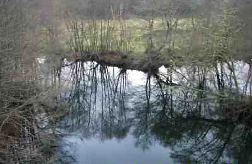 Image: gl:User:Agremon · CC BY-SA 2.1 ES Trimaz River