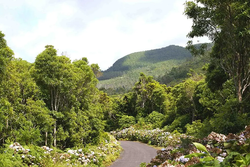 Serra de Santa Bárbara