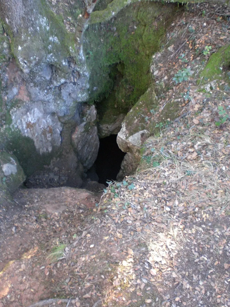 Cova dels Moros