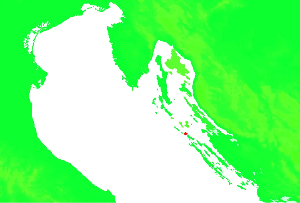 Ist
