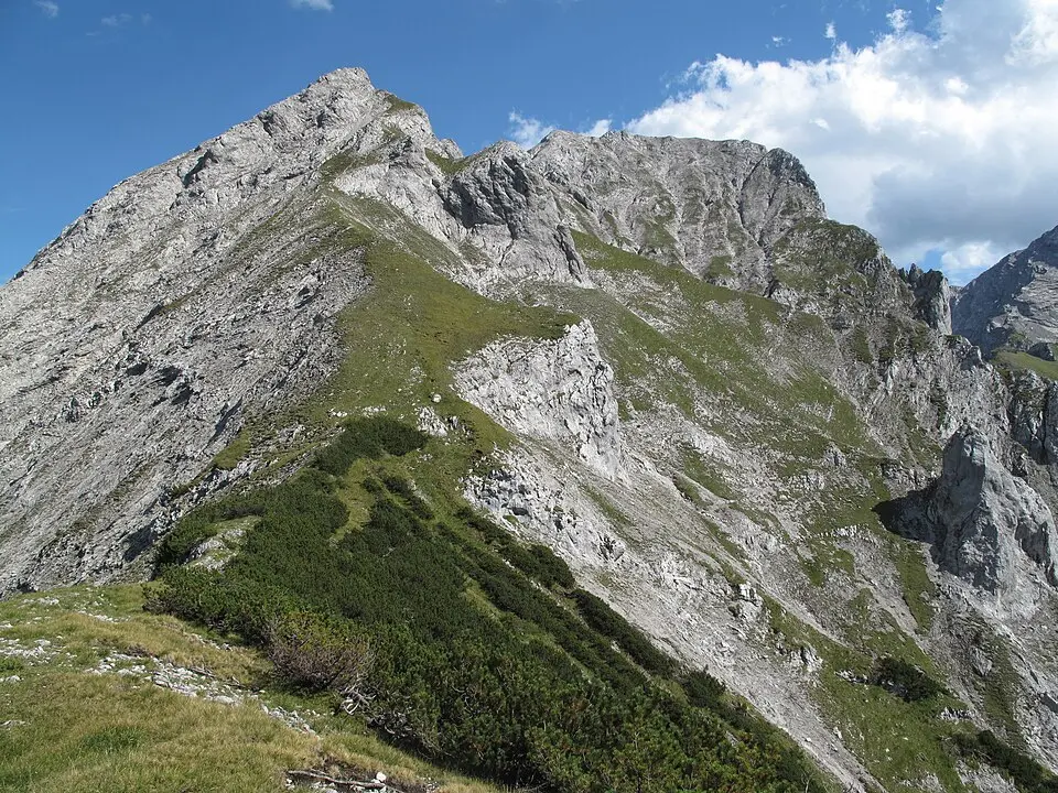 Bild: Luidger · CC BY 3.0 Schaufelspitze