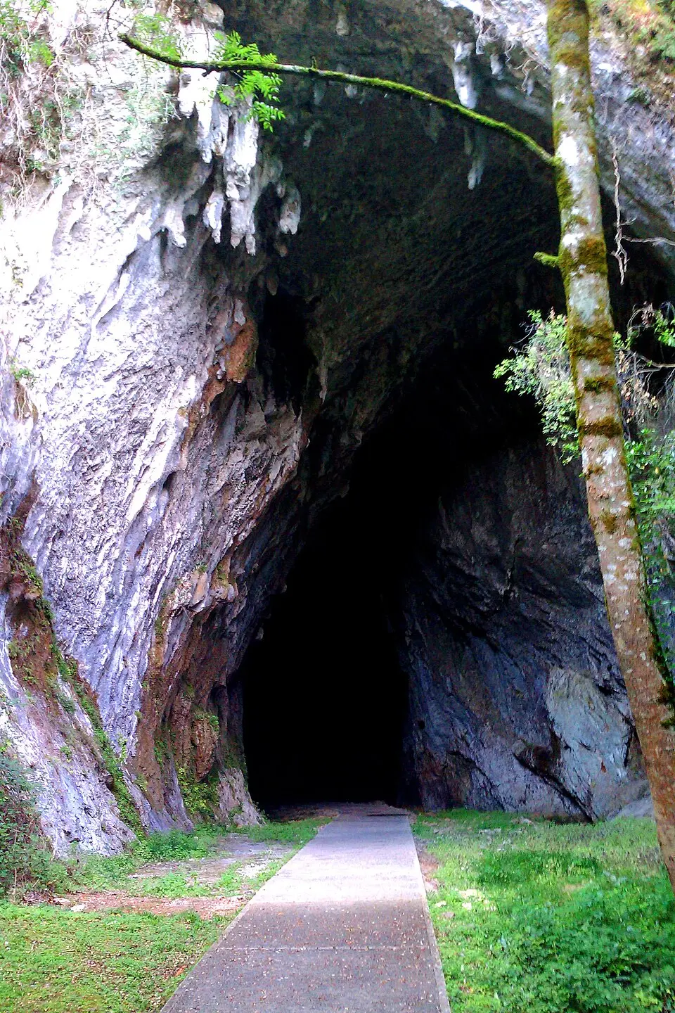 Höhle von Cullalvera