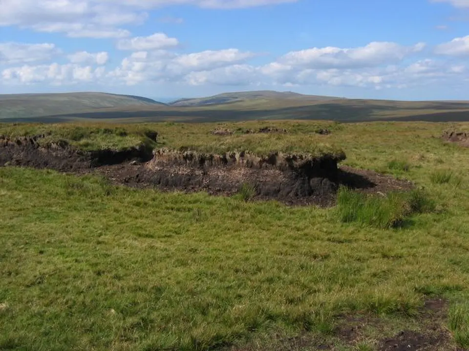 Cut Hill