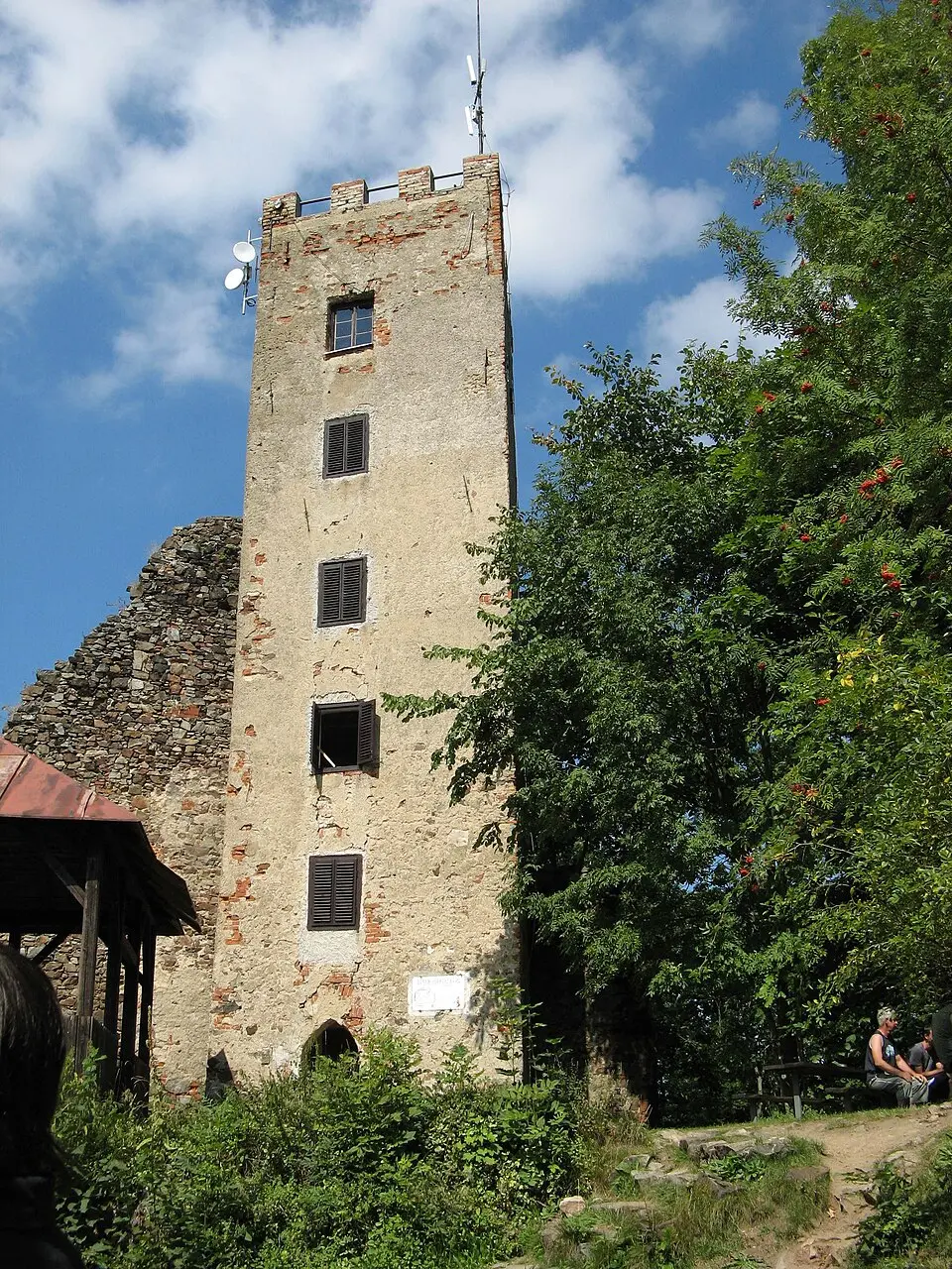 Wikimedia Commons