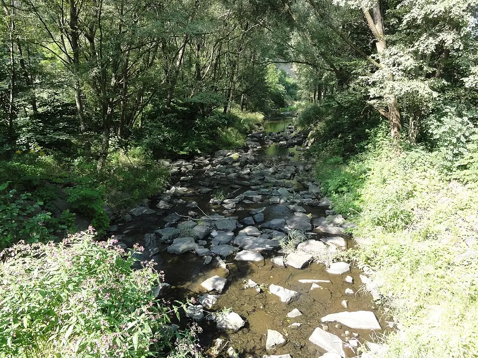 Ropičanka